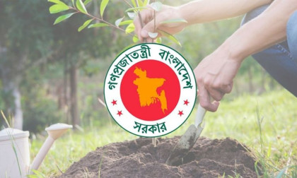 Govt to plant 2.5bn trees for earning $1bn carbon credit yearly