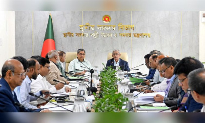 Govt to launch special taskforce for enhanced dengue control measures