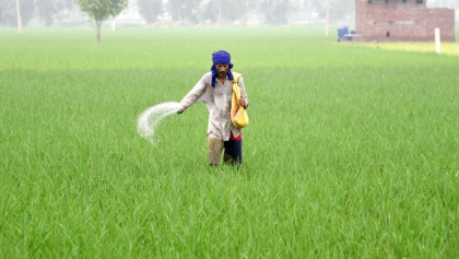 60,000 MT fertiliser import gets approved from CCGP 