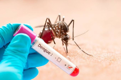 Dengue leaves 2 more deaths, 157 hospitalisations in 24hrs