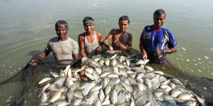 Bangladesh ranks among top five aquaculture producers: FAO