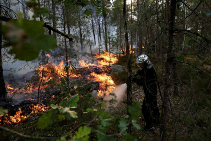 Massive wildfire burns over 1,300ha of historic Fontainebleau forest