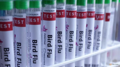 New Zealand reports first case of H5 bird flu
