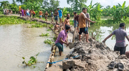 Khulna villagers repair fragile embankment as flood fears grow