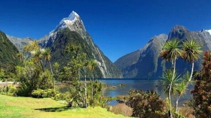 Report shows NZ set to miss climate targets after policy shifts