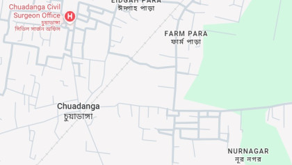 BGB stops BSF from forcing 5 into BD at Chuadanga border