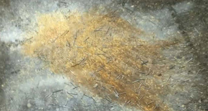 ধানমন্ডিতে ককটেল বিস্ফোরণ