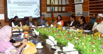 শিশুদের খেলনা ও রঙে সিসা নিয়ন্ত্রণে কড়া পদক্ষেপের সুপারিশ 