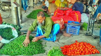 শীতের সবজির সরবরাহ বাড়লেও কমেনি দাম
