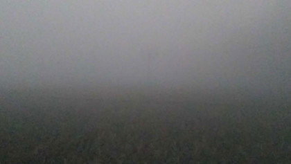 কুয়াশা দাপট দেখাবে আগামী ৫ দিন