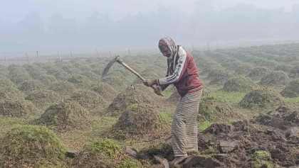 তেঁতুলিয়ায় সর্বনিম্ন তাপমাত্রা ৬.৮ ডিগ্রি