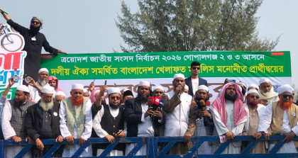 পেশি শক্তির মাধ্যমে ভোট ছিনিয়ে নিতে চাইলে প্রতিহত করা হবে: মামুনুল হক