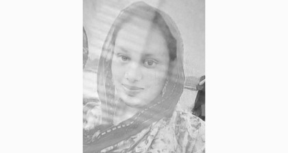 হোমনায় প্রবাসীর স্ত্রীসহ দুই শিশুর লাশ উদ্ধার