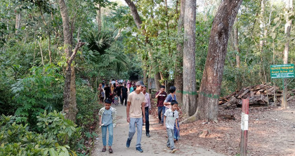 লাউয়াছড়া উদ্যানে ৩ দিনে রাজস্ব আয় প্রায় সাড়ে ৫ লাখ টাকা