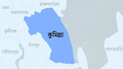 নানার বাড়িতে বেড়াতে গিয়ে পানিতে ডুবে জমজ শিশুর মৃত্যু