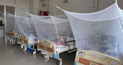 ডেঙ্গুতে হাসপাতালে ভর্তি আরও ৩৭ জন