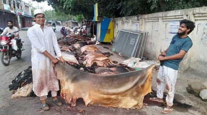 রাজশাহীতে চামড়ার বাজারে ধস