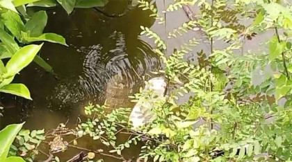 ৬০ দিন ধরে গ্যাসের পাইপলাইনে লিকেজ, দ্রুত মেরামতের আশ্বাস

