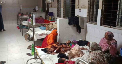 কাঠবাদাম ভেবে বিষাক্ত ফল খেয়ে ১৪ শিশু অসুস্থ, হাসপাতালে ভর্তি ৯