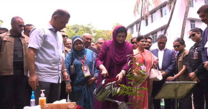 ঢামেকের ৮১তম প্রতিষ্ঠাবার্ষিকীতে বৃক্ষরোপণ কর্মসূচি উদ্বোধন প্রধানমন্ত্রীর