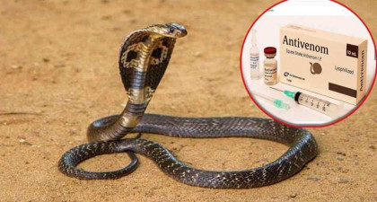 সাপে কাটলে মিলবে অ্যান্টিভেনম, প্রস্তুত সব উপজেলা স্বাস্থ্য কমপ্লেক্স
